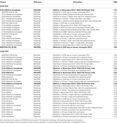 Trained Immunity in Perivascular Adipose Tissue of Abdominal Aortic Aneurysm—A Novel Concept for a Still Elusive Disease